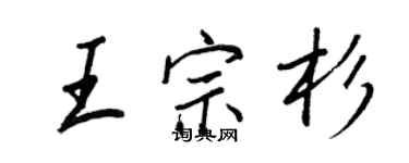 王正良王宗杉行书个性签名怎么写
