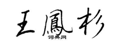 王正良王凤杉行书个性签名怎么写