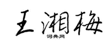 王正良王湘梅行书个性签名怎么写