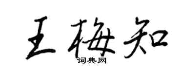 王正良王梅知行书个性签名怎么写