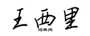 王正良王西里行书个性签名怎么写