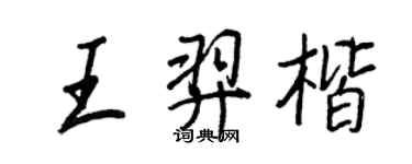 王正良王羿楷行书个性签名怎么写