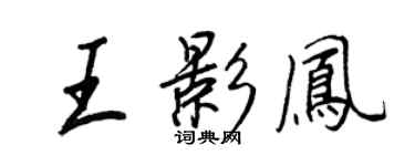 王正良王影凤行书个性签名怎么写