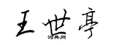王正良王世亭行书个性签名怎么写