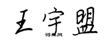 王正良王宇盟行书个性签名怎么写