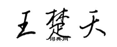 王正良王楚夭行书个性签名怎么写