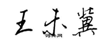 王正良王未冀行书个性签名怎么写