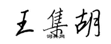 王正良王集胡行书个性签名怎么写