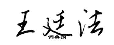 王正良王廷法行书个性签名怎么写