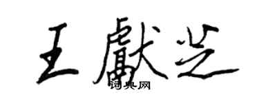 王正良王献芝行书个性签名怎么写