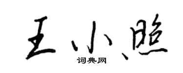 王正良王小照行书个性签名怎么写