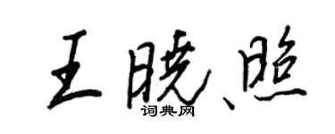 王正良王晓照行书个性签名怎么写