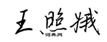 王正良王照娥行书个性签名怎么写