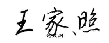 王正良王家照行书个性签名怎么写