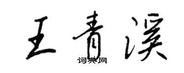 王正良王青溪行书个性签名怎么写
