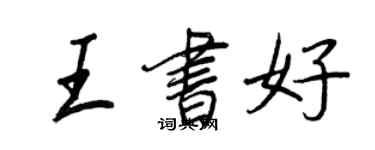 王正良王书好行书个性签名怎么写