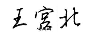 王正良王宫北行书个性签名怎么写