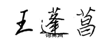王正良王蓬菖行书个性签名怎么写