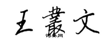 王正良王丛文行书个性签名怎么写