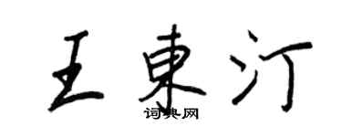 王正良王东汀行书个性签名怎么写