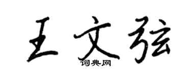 王正良王文弦行书个性签名怎么写