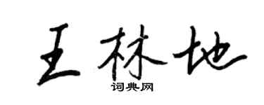 王正良王林地行书个性签名怎么写
