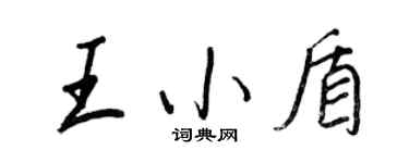 王正良王小盾行书个性签名怎么写