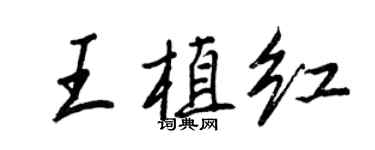 王正良王植红行书个性签名怎么写