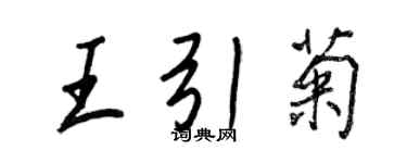 王正良王引菊行书个性签名怎么写