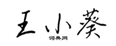 王正良王小葵行书个性签名怎么写