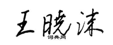 王正良王晓沫行书个性签名怎么写