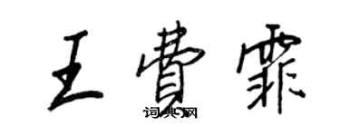 王正良王费霏行书个性签名怎么写