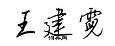 王正良王建霓行书个性签名怎么写