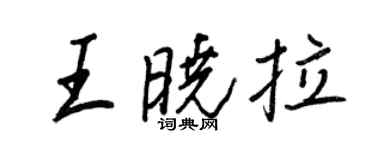 王正良王晓拉行书个性签名怎么写