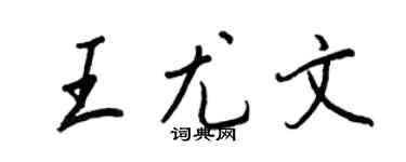 王正良王尤文行书个性签名怎么写