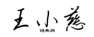 王正良王小慈行书个性签名怎么写