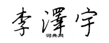 王正良李泽宇行书个性签名怎么写