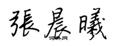 王正良张晨曦行书个性签名怎么写
