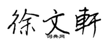 王正良徐文轩行书个性签名怎么写