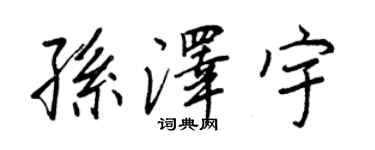 王正良孙泽宇行书个性签名怎么写