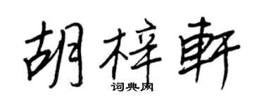 王正良胡梓轩行书个性签名怎么写
