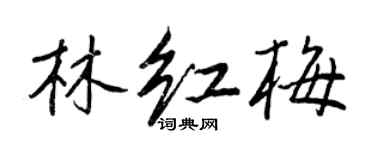 王正良林红梅行书个性签名怎么写