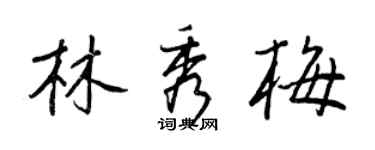 王正良林秀梅行书个性签名怎么写