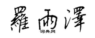 王正良罗雨泽行书个性签名怎么写