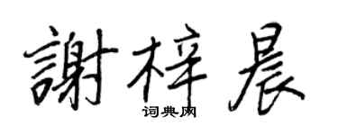王正良谢梓晨行书个性签名怎么写