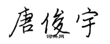 王正良唐俊宇行书个性签名怎么写