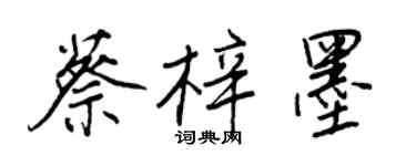 王正良蔡梓墨行书个性签名怎么写