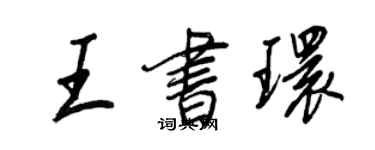 王正良王书环行书个性签名怎么写