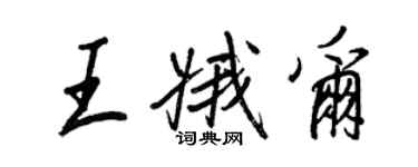 王正良王娥尔行书个性签名怎么写