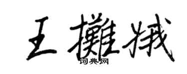 王正良王摊娥行书个性签名怎么写
